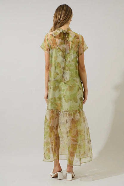 Floral Dime Organza Maxi Dress